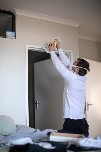 Best Comprehensive Air Testing for Mold Contaminants  in Englewood Cliffs, NJ