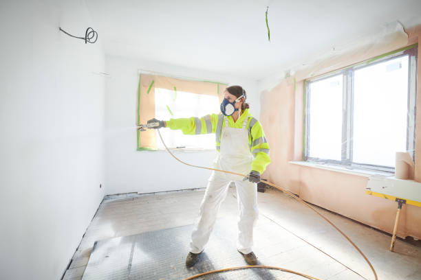 Best Mold Odor Removal Services  in Englewood Cliffs, NJ