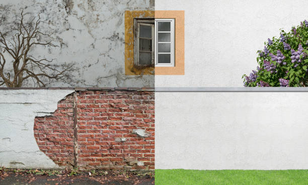 Best Industrial Mold Remediation  in Englewood Cliffs, NJ