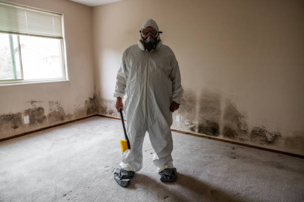 Englewood Cliffs, NJ Mold Removal Company